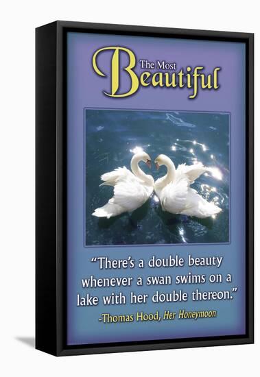 Double Beauty-null-Framed Stretched Canvas