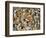 Double Cat-Spread-Ditz-Framed Giclee Print