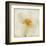 Double Daffodil I-Judy Stalus-Framed Art Print