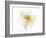 Double Daffodil II-Judy Stalus-Framed Art Print