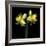 Double daffodils II-Magda Indigo-Framed Photographic Print