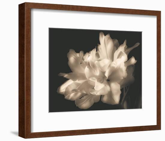 Double Dappled I-Charles Britt-Framed Art Print