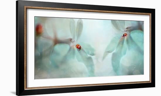 Double Duo I-Heidi Westum-Framed Photographic Print