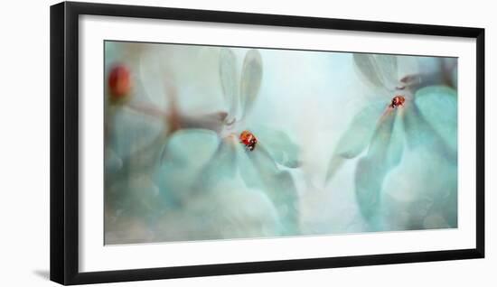 Double Duo I-Heidi Westum-Framed Photographic Print