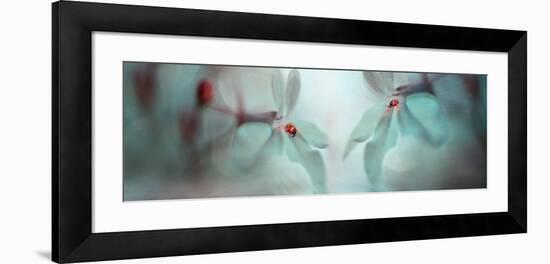 Double Duo II-Heidi Westum-Framed Photographic Print