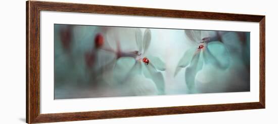 Double Duo II-Heidi Westum-Framed Photographic Print