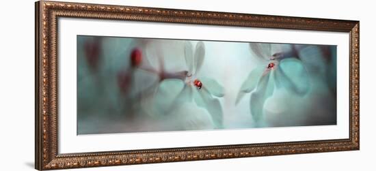 Double Duo II-Heidi Westum-Framed Photographic Print