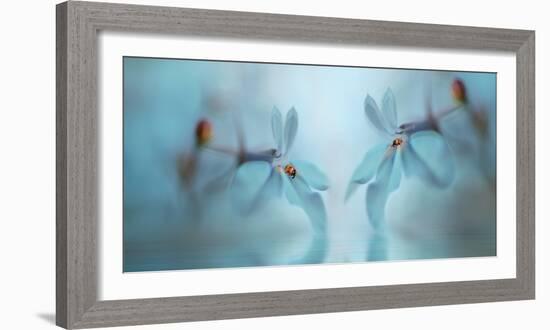 Double Duo III-Heidi Westum-Framed Photographic Print