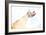 Double Exposure Arm and Hand-Sharpy Shooter-Framed Photographic Print