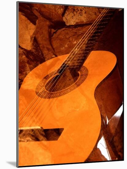 Double Exposure of Guitar and Rocks-Janell Davidson-Mounted Photographic Print