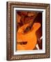 Double Exposure of Guitar and Rocks-Janell Davidson-Framed Photographic Print
