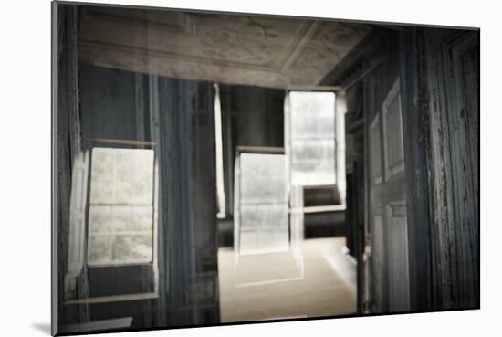 Double Exposure of Room Inside an Old Plantation Home in Charleston, SC-null-Mounted Photo