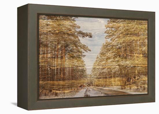 Double Exposure Trees on A Wooden Board Texture-Irina Jesikova-Framed Premier Image Canvas