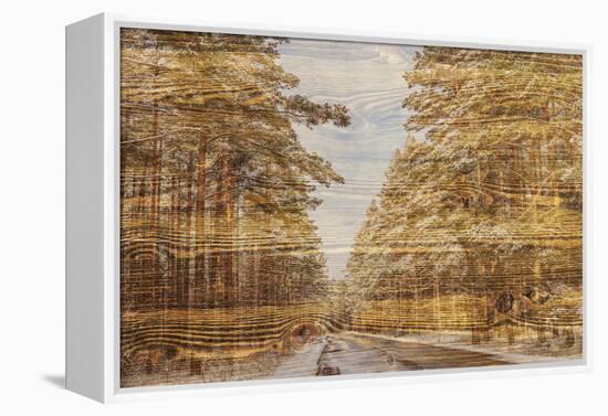 Double Exposure Trees on A Wooden Board Texture-Irina Jesikova-Framed Premier Image Canvas