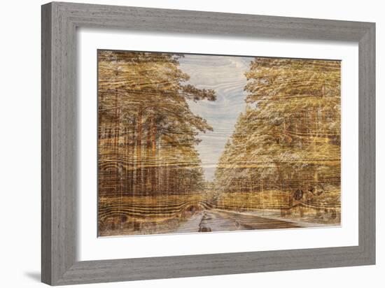 Double Exposure Trees on A Wooden Board Texture-Irina Jesikova-Framed Photographic Print