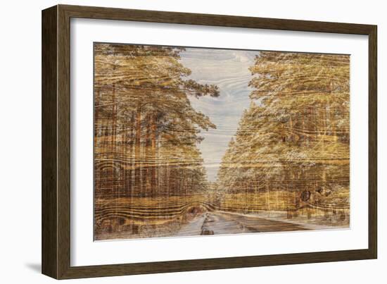 Double Exposure Trees on A Wooden Board Texture-Irina Jesikova-Framed Photographic Print