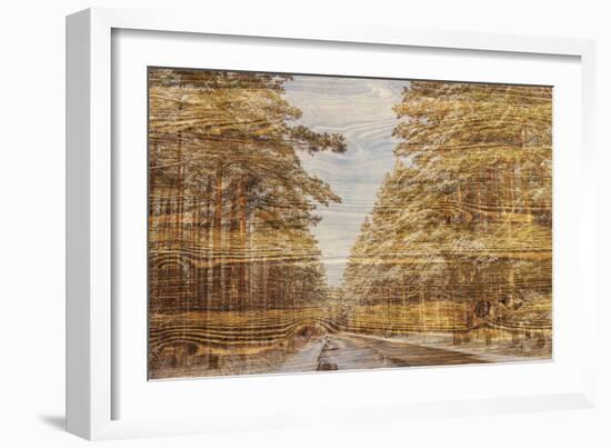 Double Exposure Trees on A Wooden Board Texture-Irina Jesikova-Framed Photographic Print