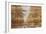 Double Exposure Trees on A Wooden Board Texture-Irina Jesikova-Framed Photographic Print