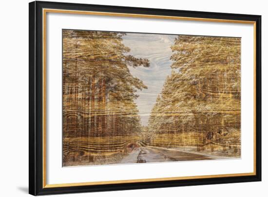Double Exposure Trees on A Wooden Board Texture-Irina Jesikova-Framed Photographic Print