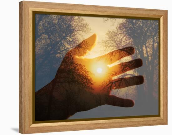 Double Exposure with a Sunrise behind Trees with a Hand-Sari ONeal-Framed Premier Image Canvas