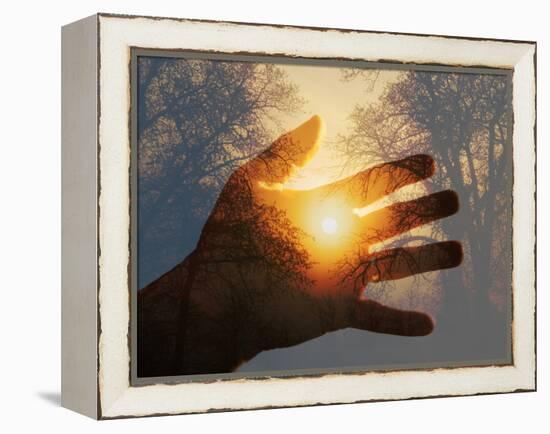 Double Exposure with a Sunrise behind Trees with a Hand-Sari ONeal-Framed Premier Image Canvas