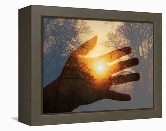 Double Exposure with a Sunrise behind Trees with a Hand-Sari ONeal-Framed Premier Image Canvas