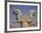 Double-Headed Eagle, Persepolis, UNESCO World Heritage Site, Iran, Middle East-Poole David-Framed Photographic Print