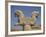 Double-Headed Eagle, Persepolis, UNESCO World Heritage Site, Iran, Middle East-Poole David-Framed Photographic Print