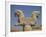 Double-Headed Eagle, Persepolis, UNESCO World Heritage Site, Iran, Middle East-Poole David-Framed Photographic Print