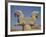 Double-Headed Eagle, Persepolis, UNESCO World Heritage Site, Iran, Middle East-Poole David-Framed Photographic Print