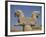 Double-Headed Eagle, Persepolis, UNESCO World Heritage Site, Iran, Middle East-Poole David-Framed Photographic Print