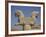 Double-Headed Eagle, Persepolis, UNESCO World Heritage Site, Iran, Middle East-Poole David-Framed Photographic Print