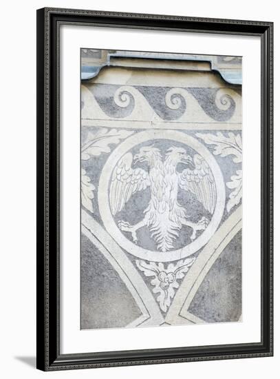 Double Headed Eagle-Rob Tilley-Framed Photographic Print