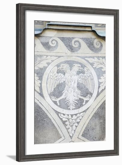 Double Headed Eagle-Rob Tilley-Framed Photographic Print