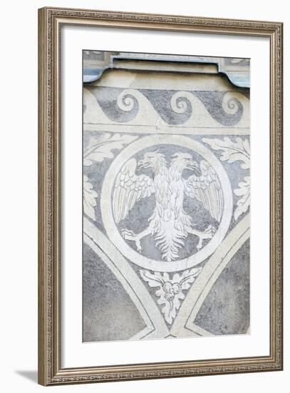 Double Headed Eagle-Rob Tilley-Framed Photographic Print