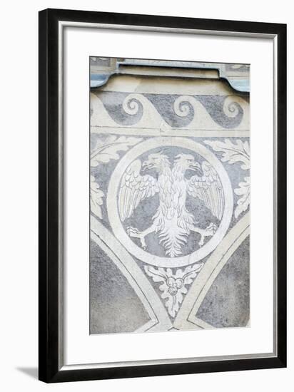 Double Headed Eagle-Rob Tilley-Framed Photographic Print