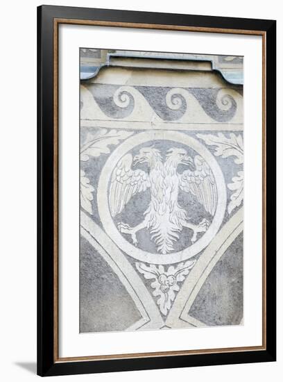 Double Headed Eagle-Rob Tilley-Framed Photographic Print