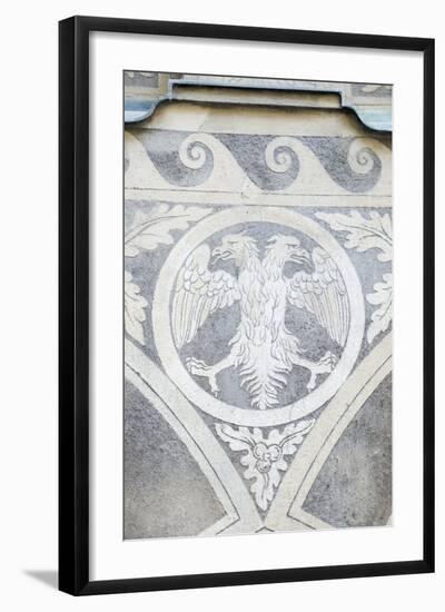 Double Headed Eagle-Rob Tilley-Framed Photographic Print