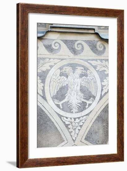 Double Headed Eagle-Rob Tilley-Framed Photographic Print