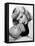 Double Indemnity, 1944-null-Framed Premier Image Canvas