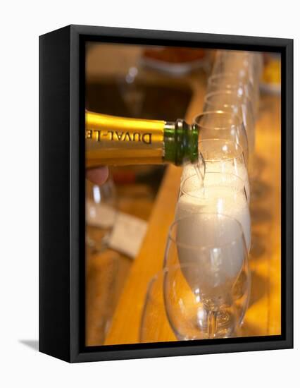 Double Magnum Champagne, Duval-Leroy Blanc De Chardonnay Millesime, Vertus-Per Karlsson-Framed Premier Image Canvas