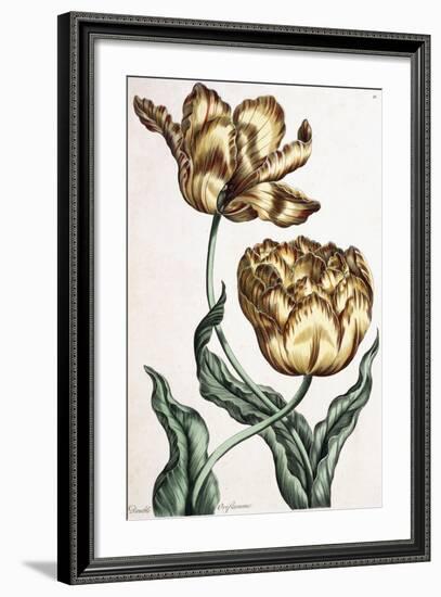 Double Oriflamme, 1759-null-Framed Giclee Print