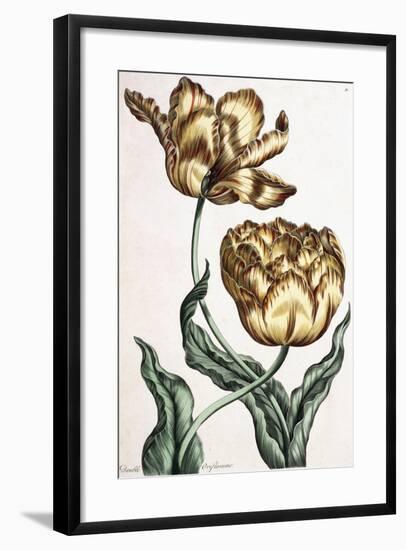 Double Oriflamme, 1759-null-Framed Giclee Print