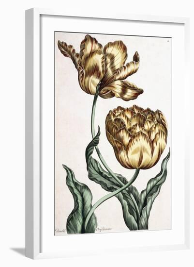 Double Oriflamme, 1759-null-Framed Giclee Print