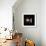 Double Planet-Julian Baum-Framed Premium Photographic Print displayed on a wall