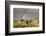 Double rainbow at Combestone Tor, Dartmoor NP, Devon-Ross Hoddinott-Framed Photographic Print