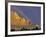 Double Rainbow over a Rock Formation Near Smith Rocks State Park, Bend, Central Oregon, Usa-Janis Miglavs-Framed Photographic Print