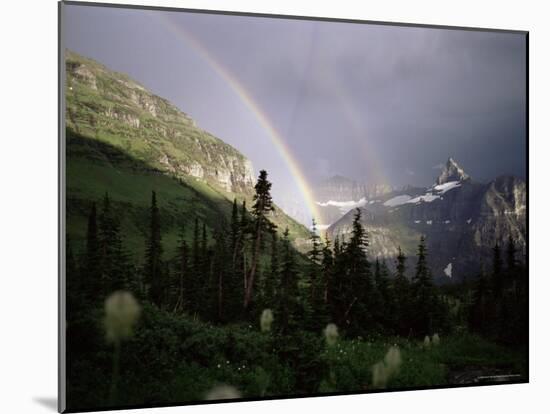 Double Rainbow with Bear Grass in Foreground, Montana, USA-Aaron McCoy-Mounted Photographic Print