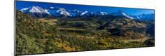 Photographic Print