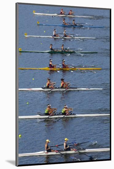 Double Scull Race, Maadi Cup Regatta, Lake Karipiro, Waikato, North Island, New Zealand-David Wall-Mounted Photographic Print